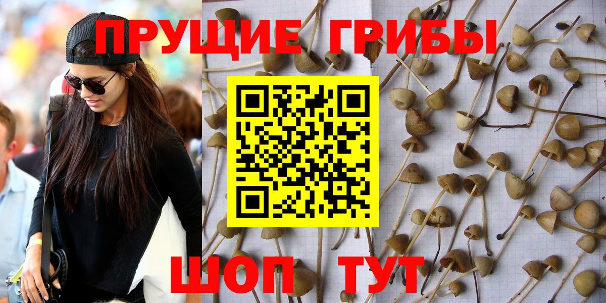 Псилоцибиновые грибы ЛСД  Вход с VPN  Славгород 